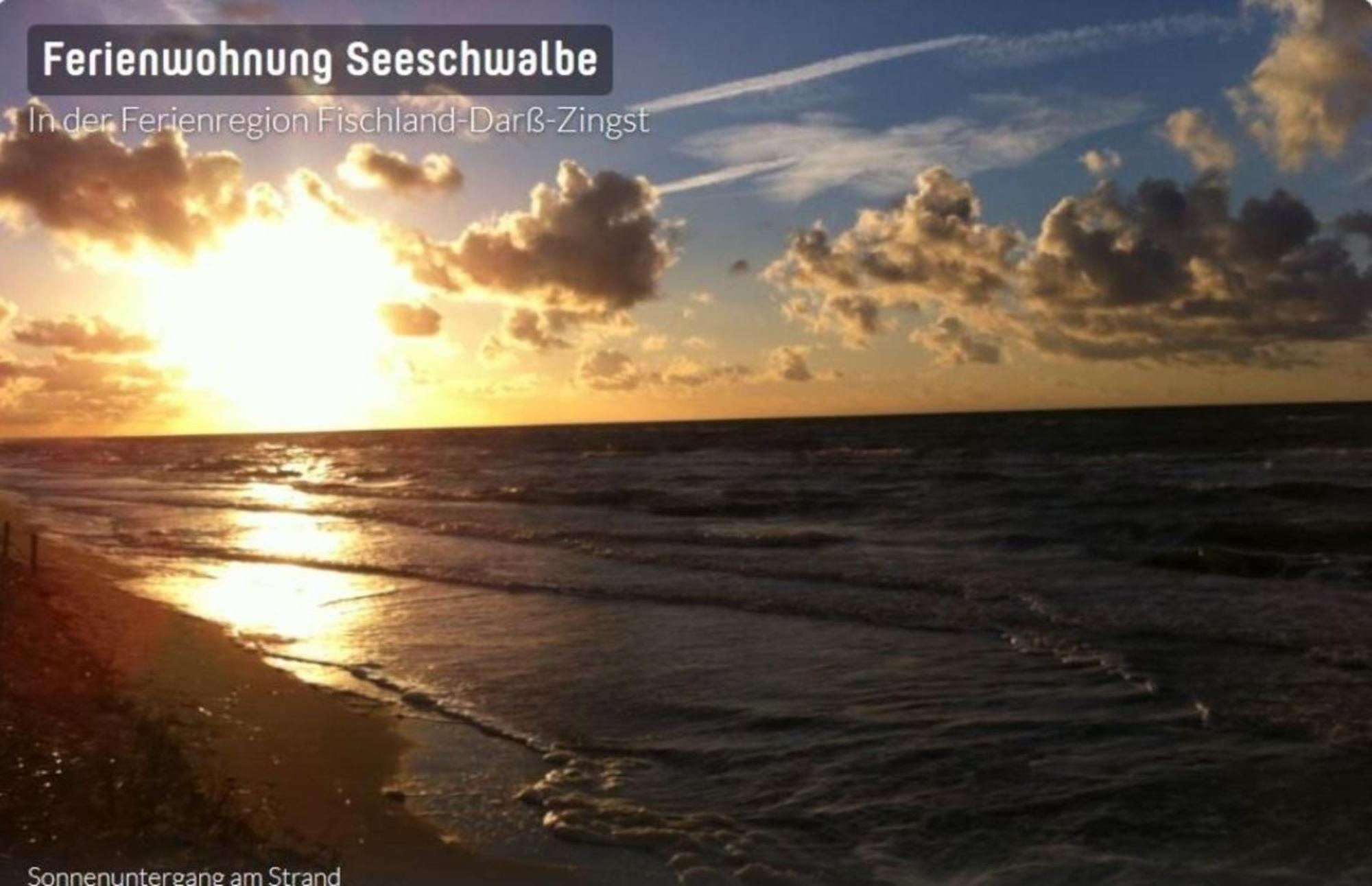 Seeschwalbe App 34 Neuhaus  Exteriér fotografie